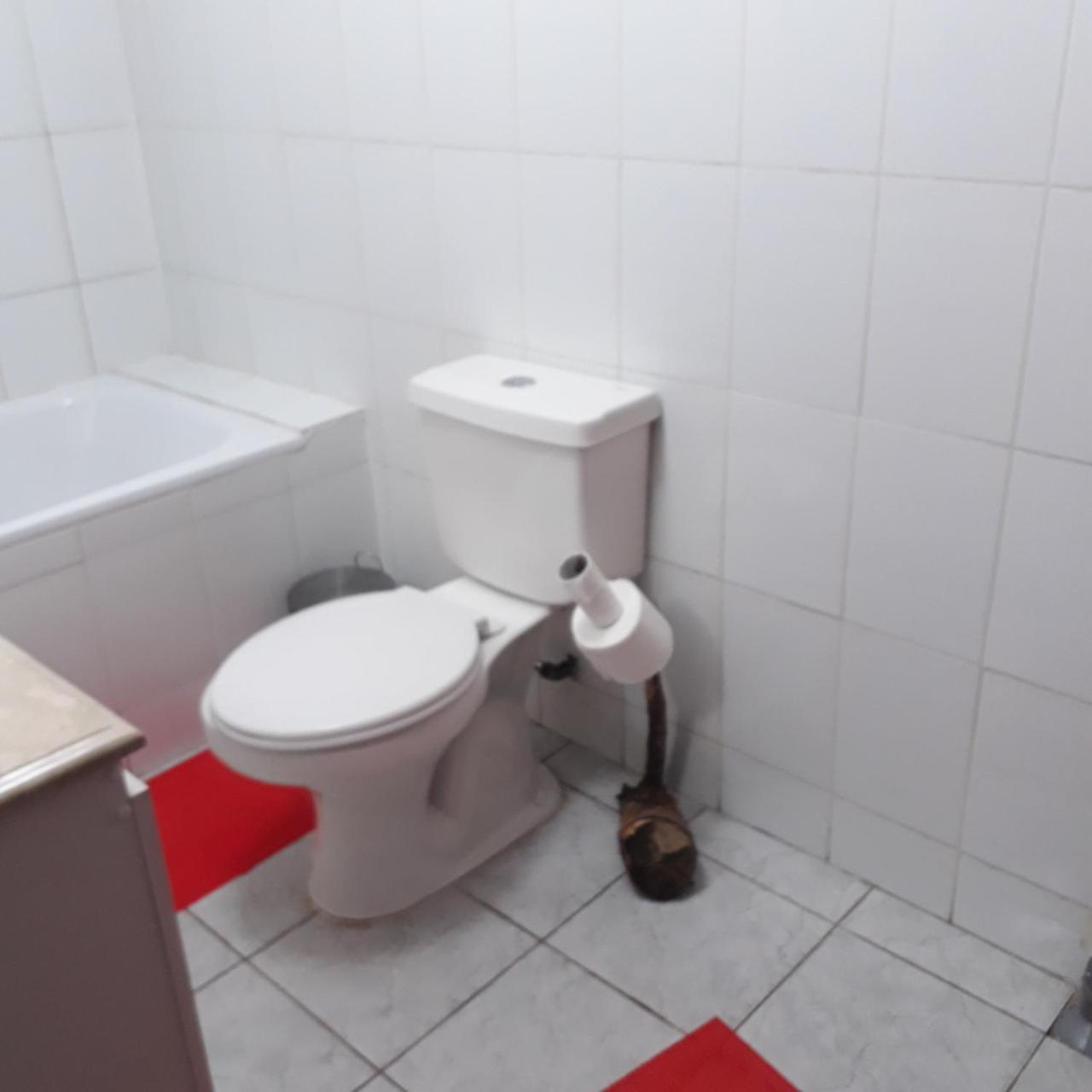 La Llar Hostel Panguipulli Buitenkant foto