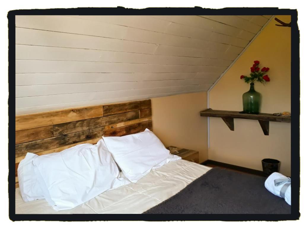 La Llar Hostel Panguipulli Buitenkant foto